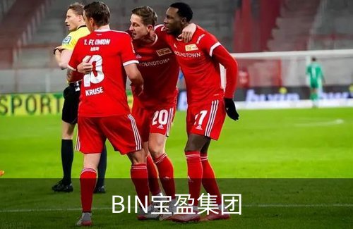 BIN宝盈集团简介